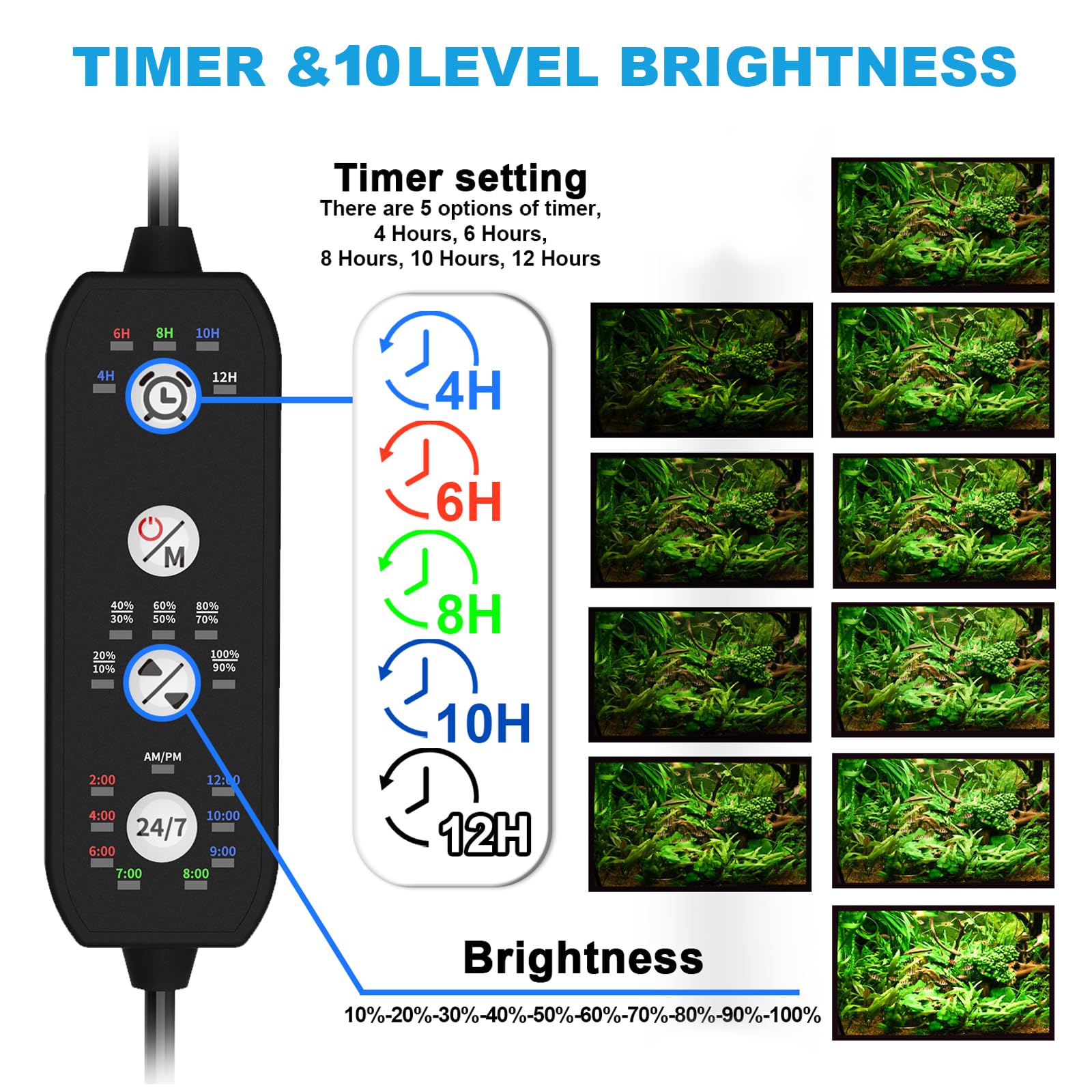 Seaoura color-preview feature lets you test lighting before the 24/7 cycle.
