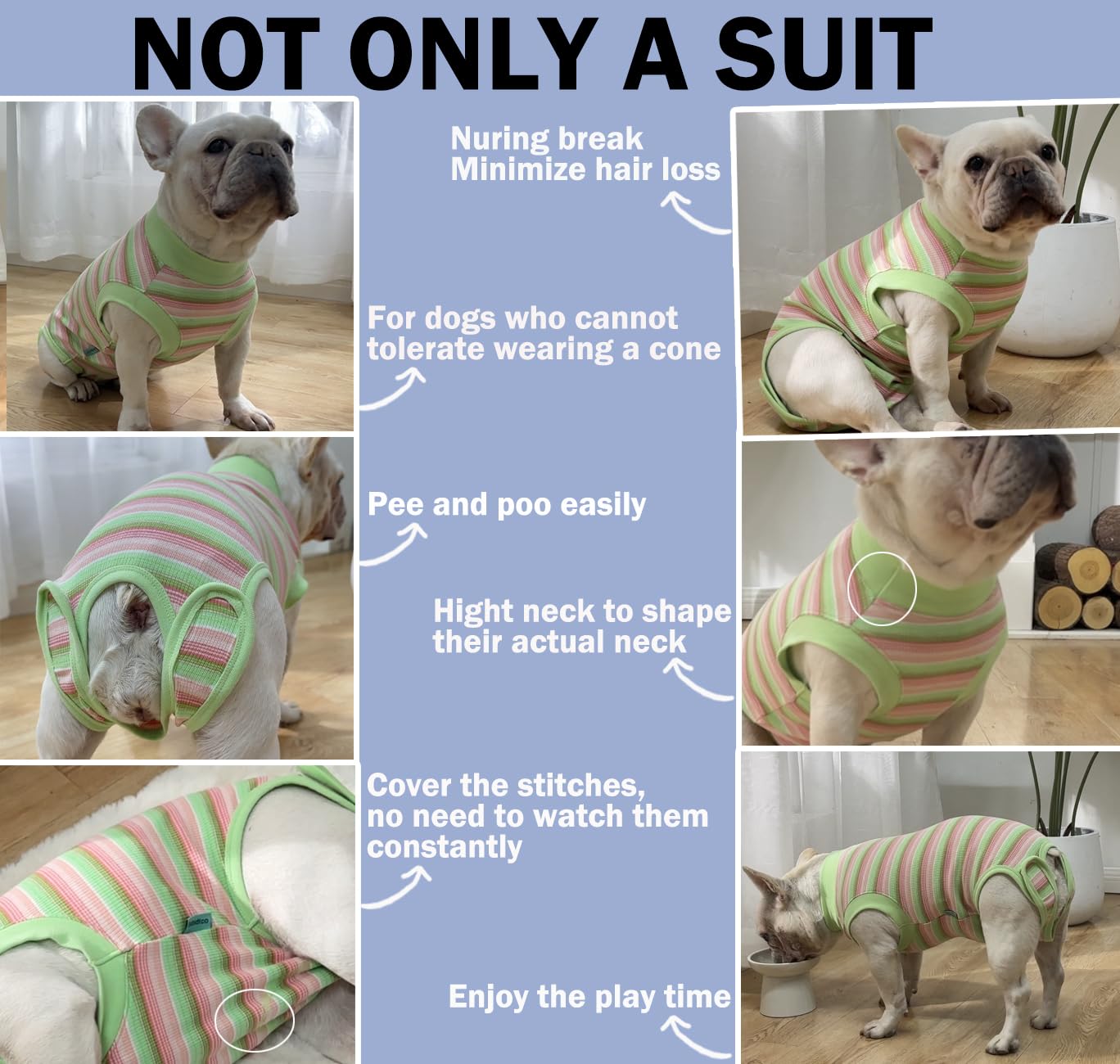 Sebidtco cone-free recovery suit enables eating and potty breaks without a cone.