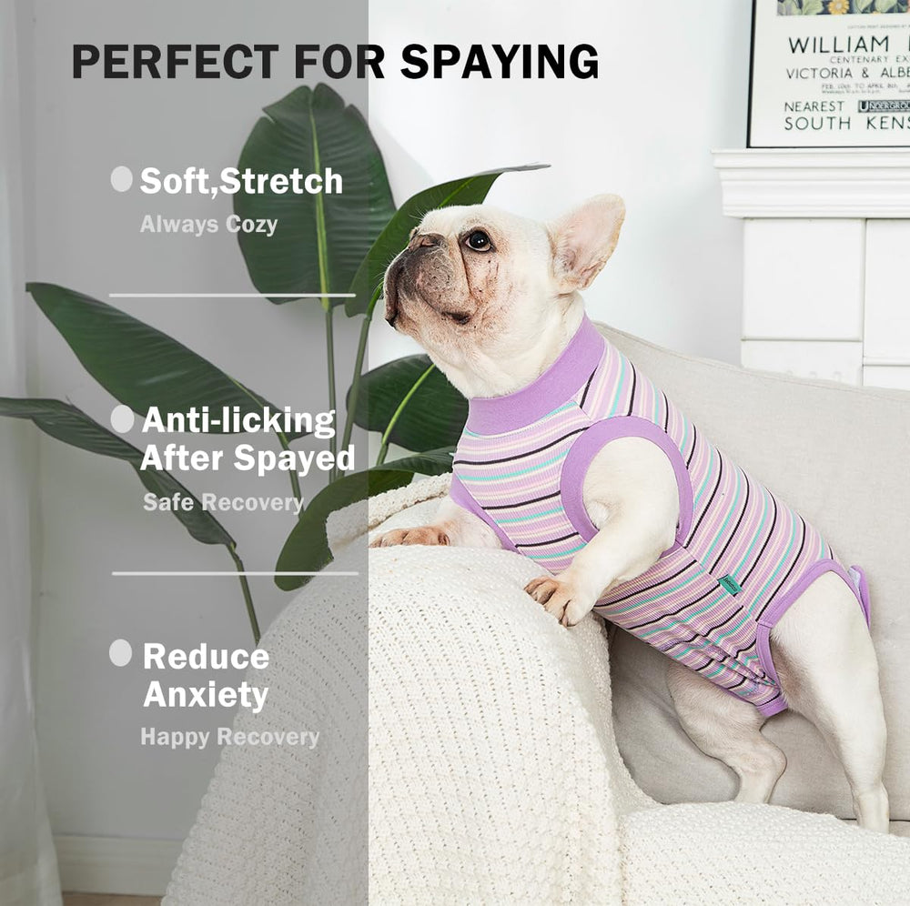 Sebdtco dog surgery suit female spay highlights easy-on pull-over design
