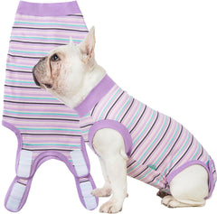 Sebdtco recovery suit dog close-up shows soft fabric and secure fit for healing