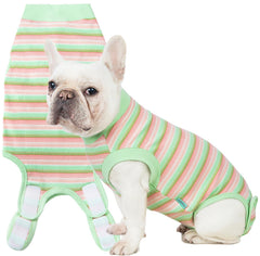 Sebdtco recovery suit for dogs, rolled-up design, easy potty breaks and comfy post-surgery support.