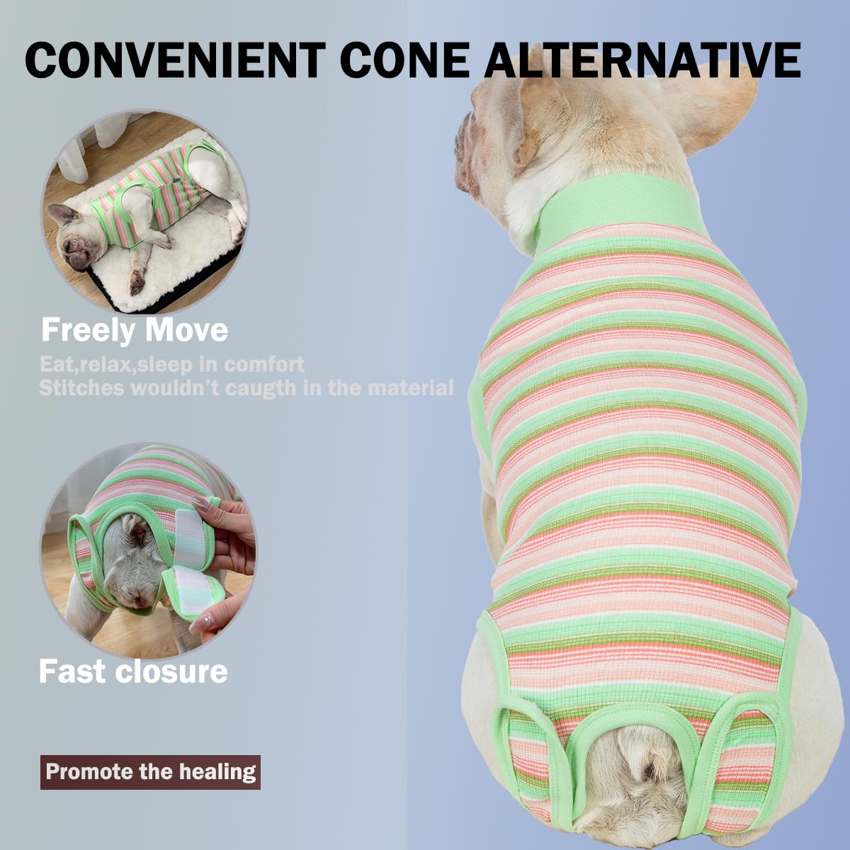 Sebidtco soft dog onesie for post-surgery comfort and mobility.