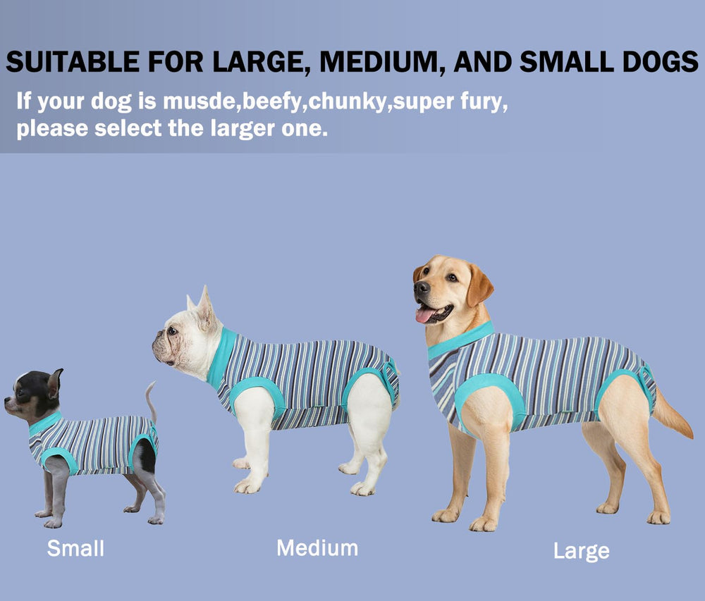 Sebidtco Recovery Suit includes friendly customer support and after-sales help.