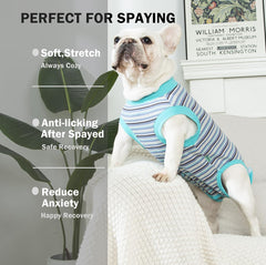 Sebidtco dog cone alternative keeps your dog comfy post-surgery.
