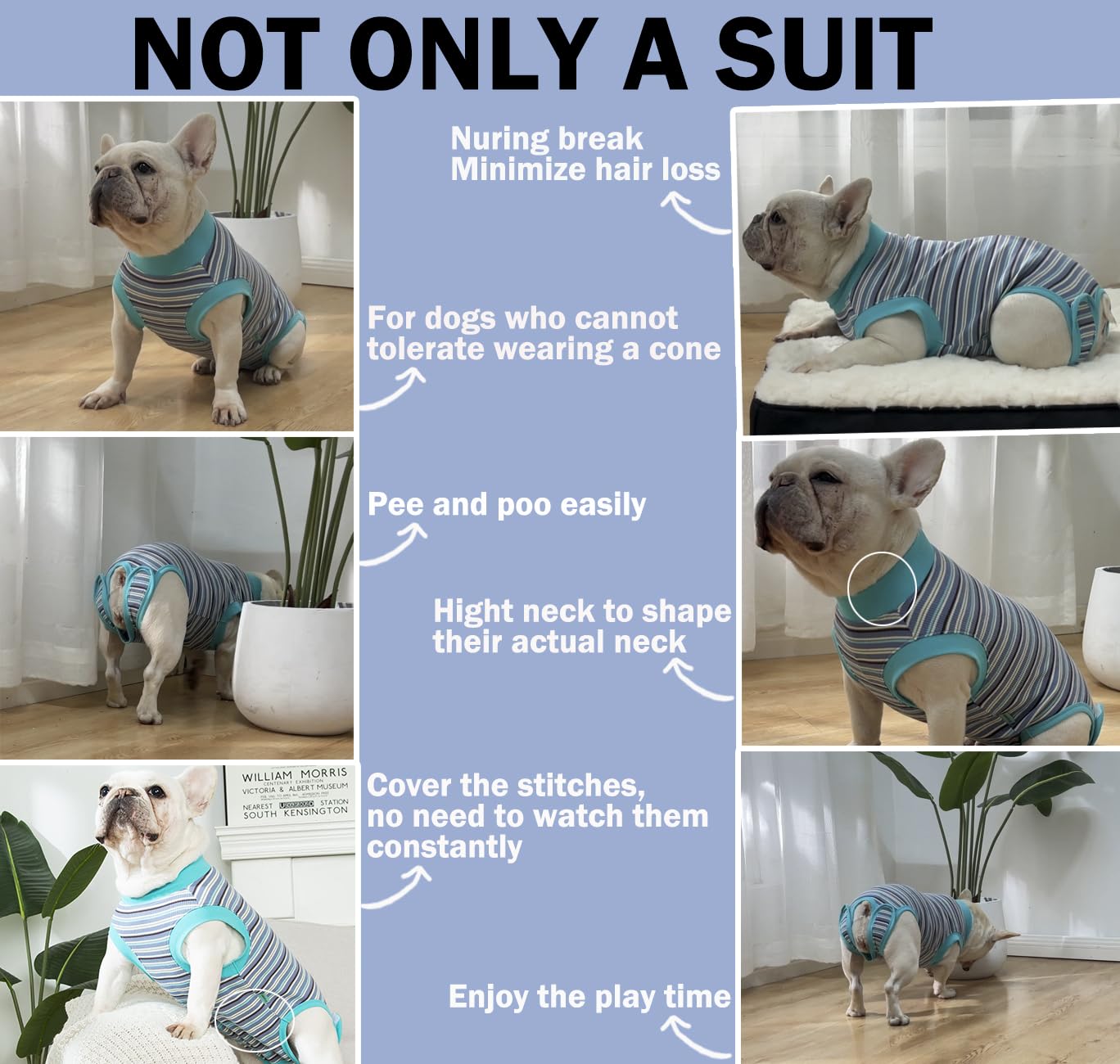 Sebidtco Dog surgery size guide helps match back length and chest.