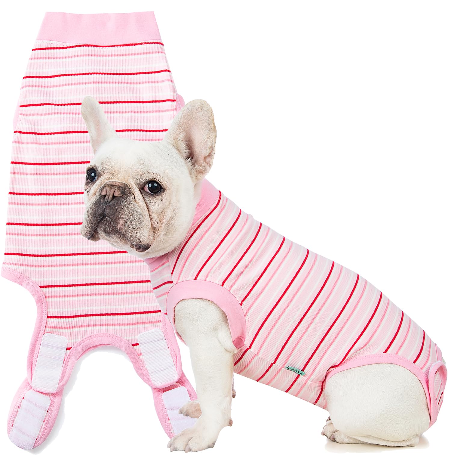 Sebidtco recovery suit for dogs front view showing abdominal protection