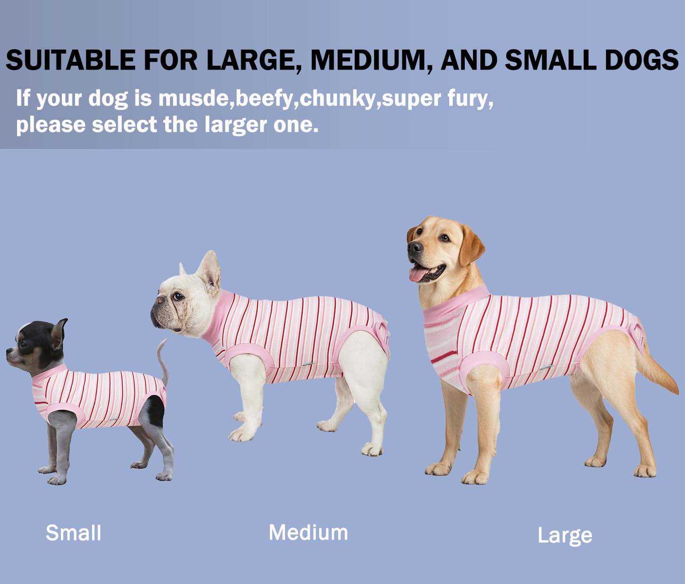 Sebidtco recovery suit on a dog demonstrating comfortable wear as cone alternative
