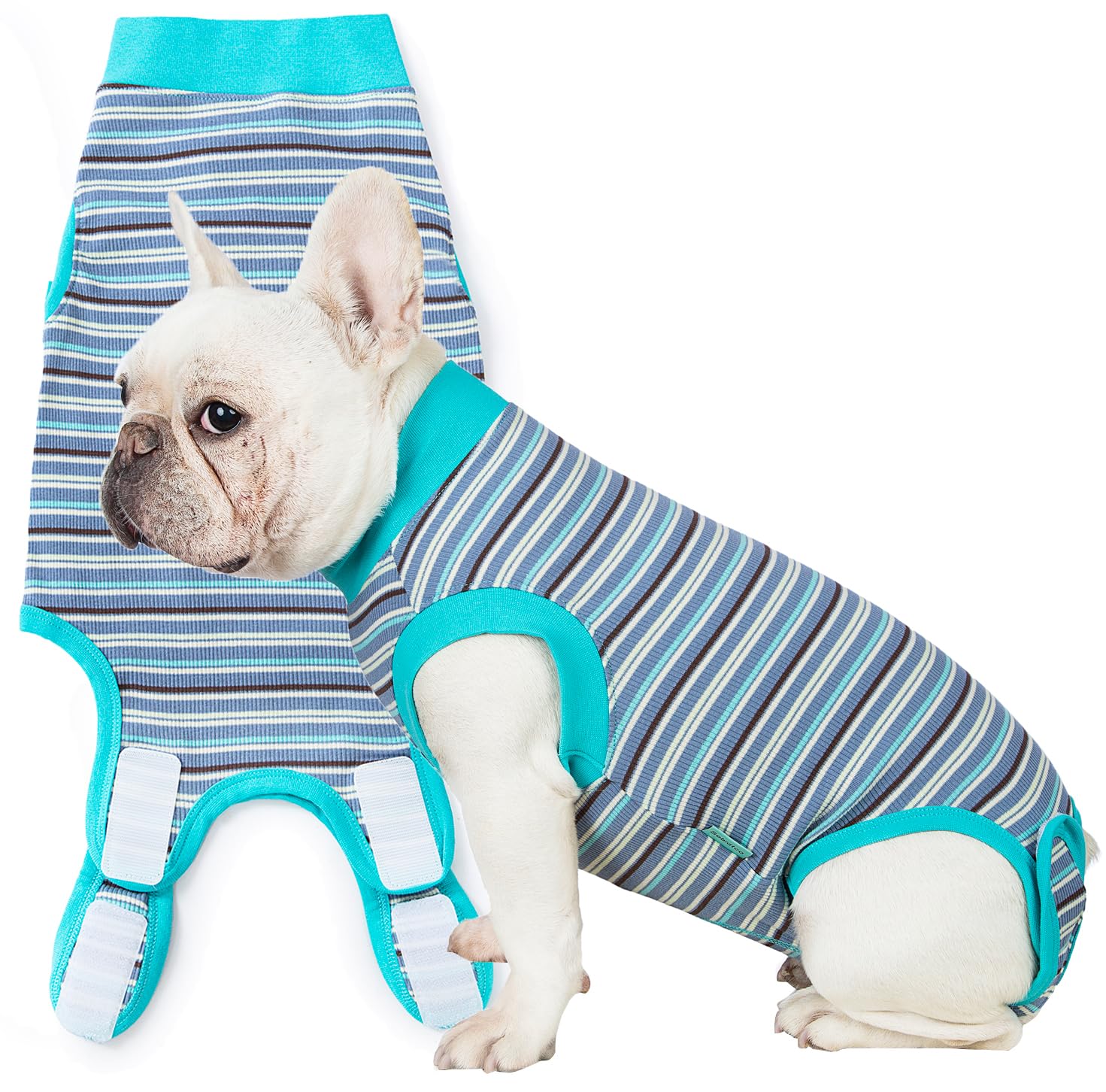 Sebidtco recovery suit model protecting stitches after dog spay surgery