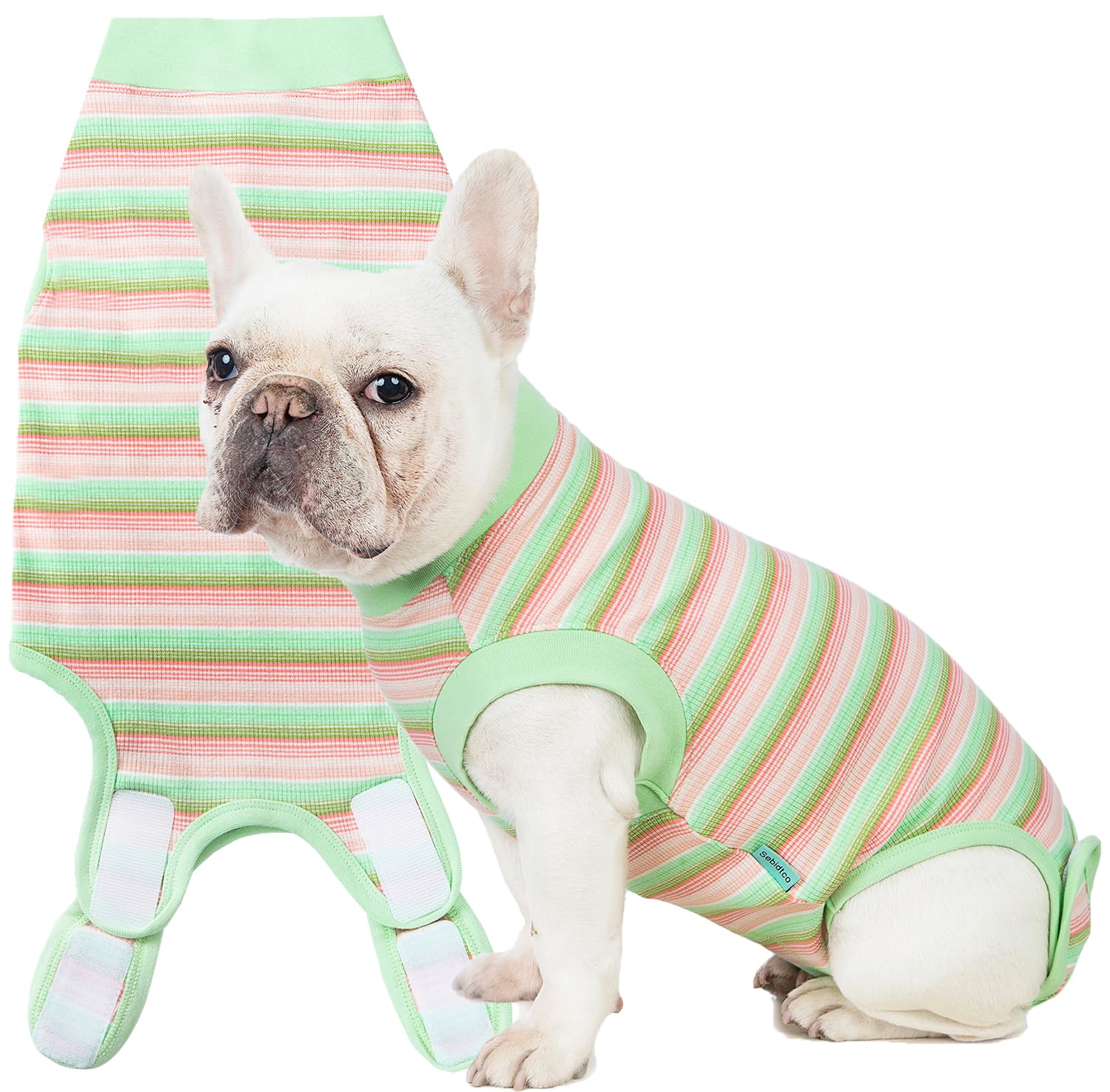 Sebidtco recovery suit on a dog after surgery protecting stitches and promoting comfort