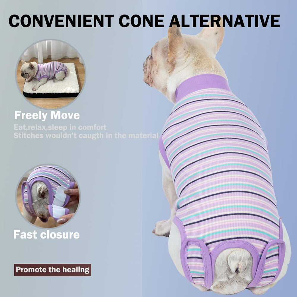 Sebidtco soft onesie for surgery, a cone alternative that supports healing and mobility