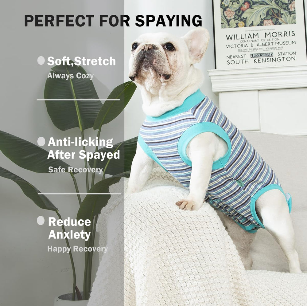 Sebidtco surgery suit female spay closeup highlighting soft stretch fabric for comfort