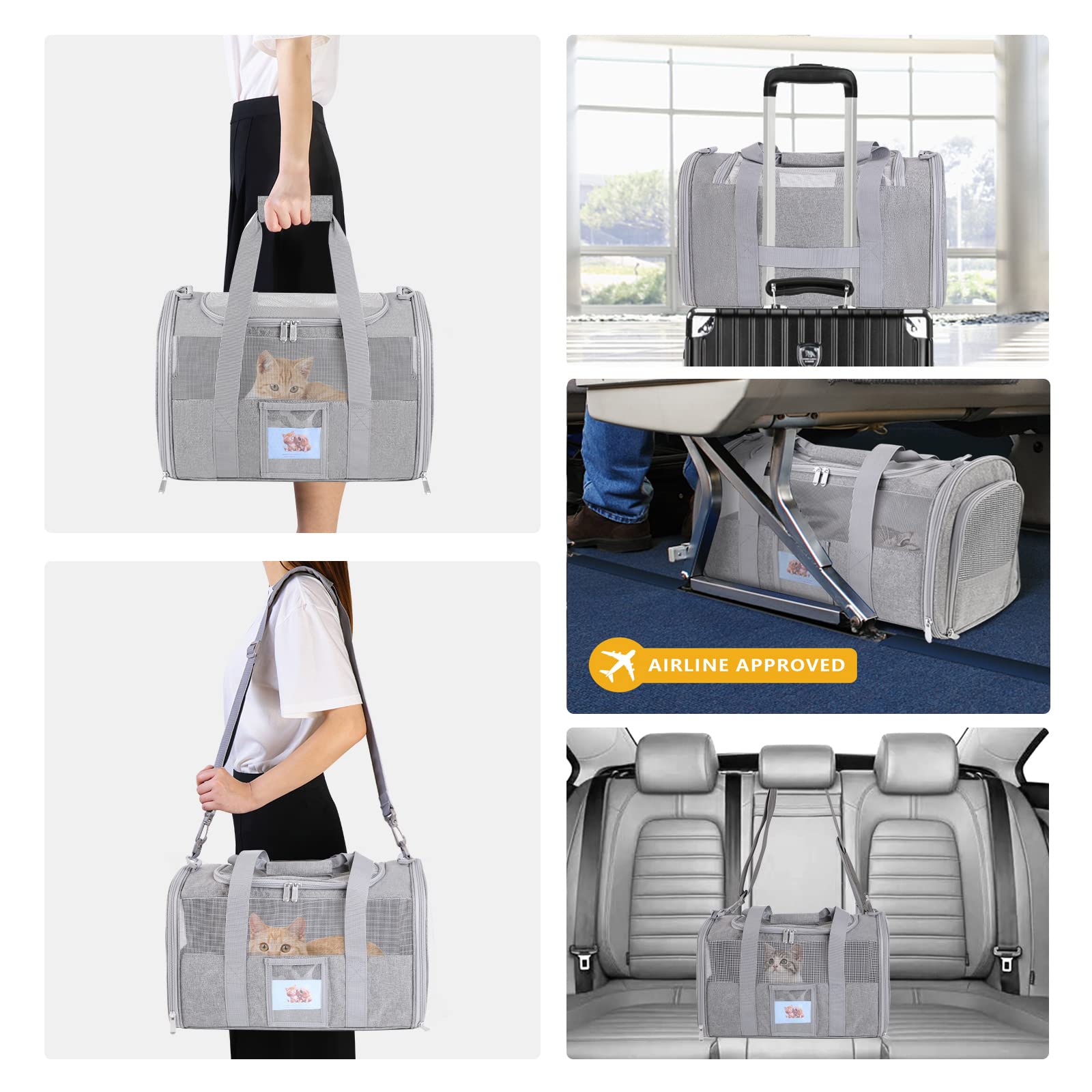 SECLATO Cat Carrier escape-proof bayonet for added security.