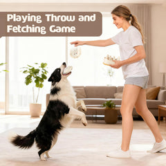 Sedioso squeaky dumplings feature an inside squeaker to extend playtime