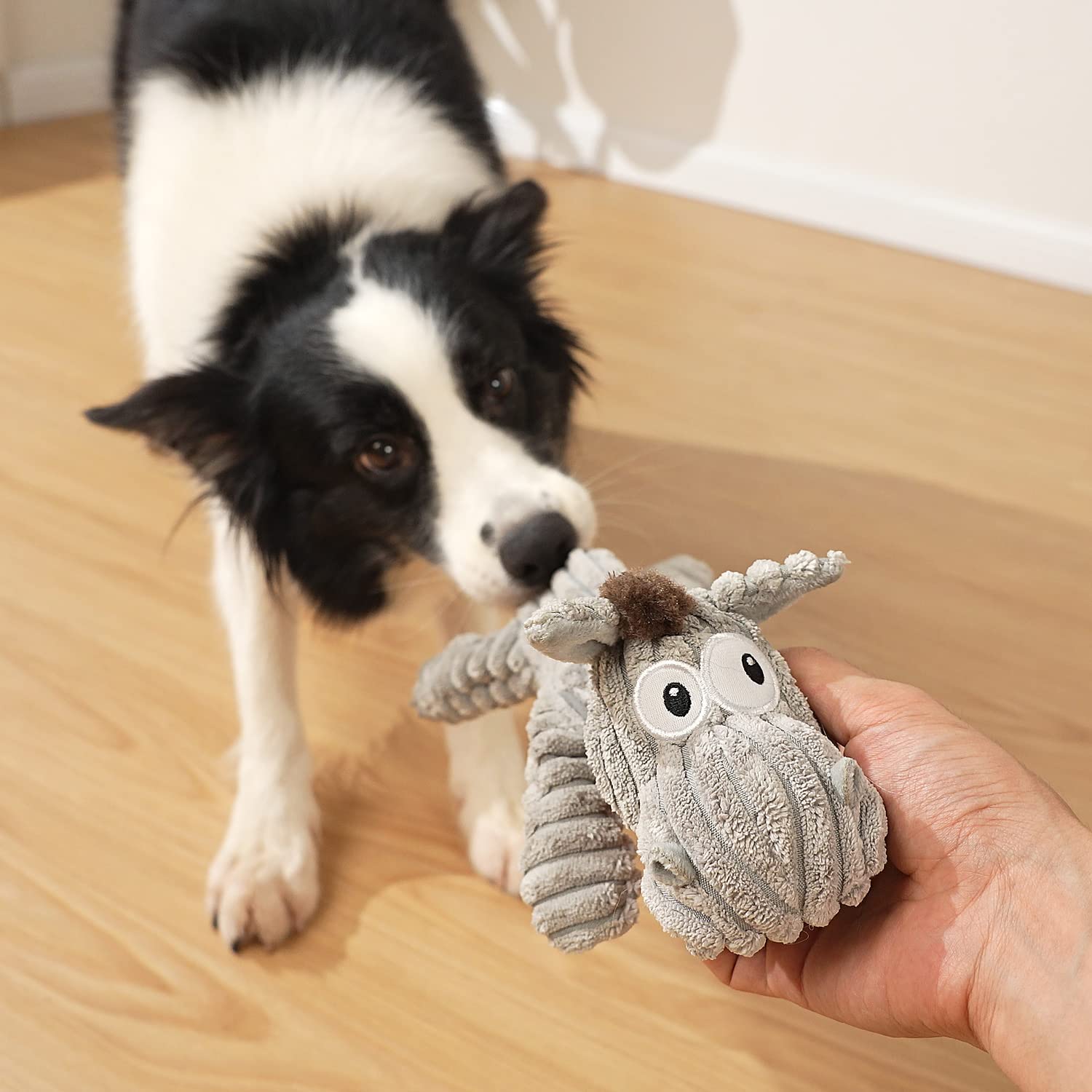 Sedioso dog toy durable build withstands daily play and roughhousing
