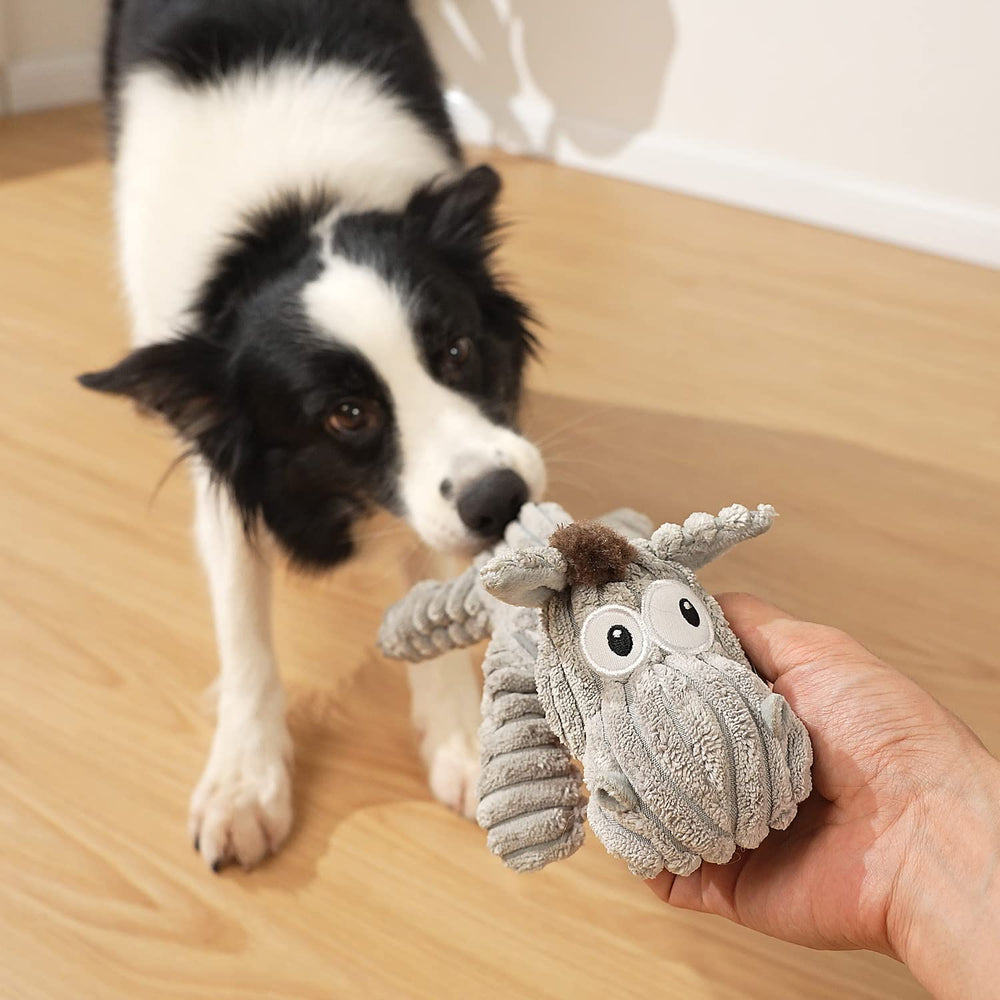 Sedioso dog toy durable build withstands daily play and roughhousing