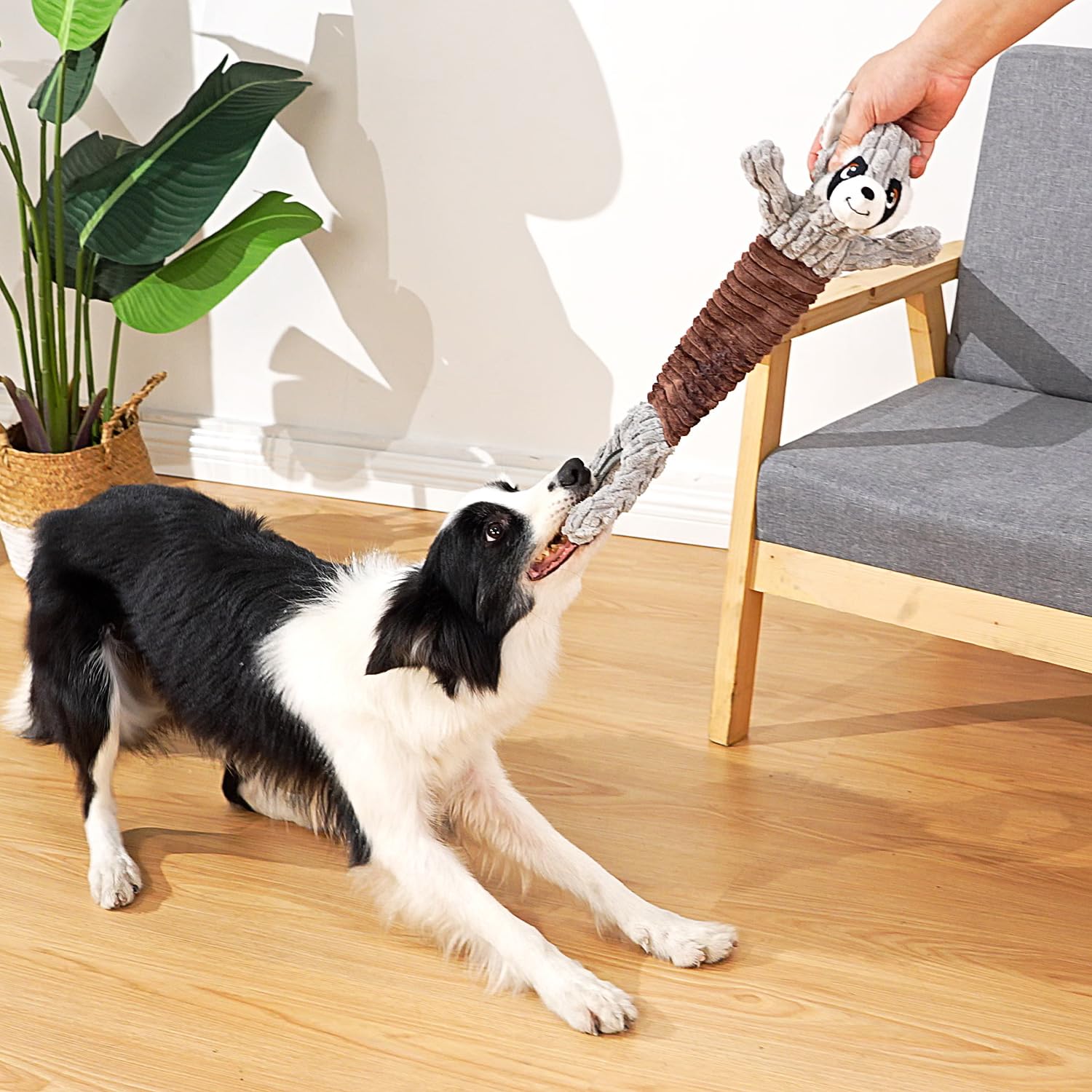 Sedioso durable plush dog toy easy to wash after play sessions
