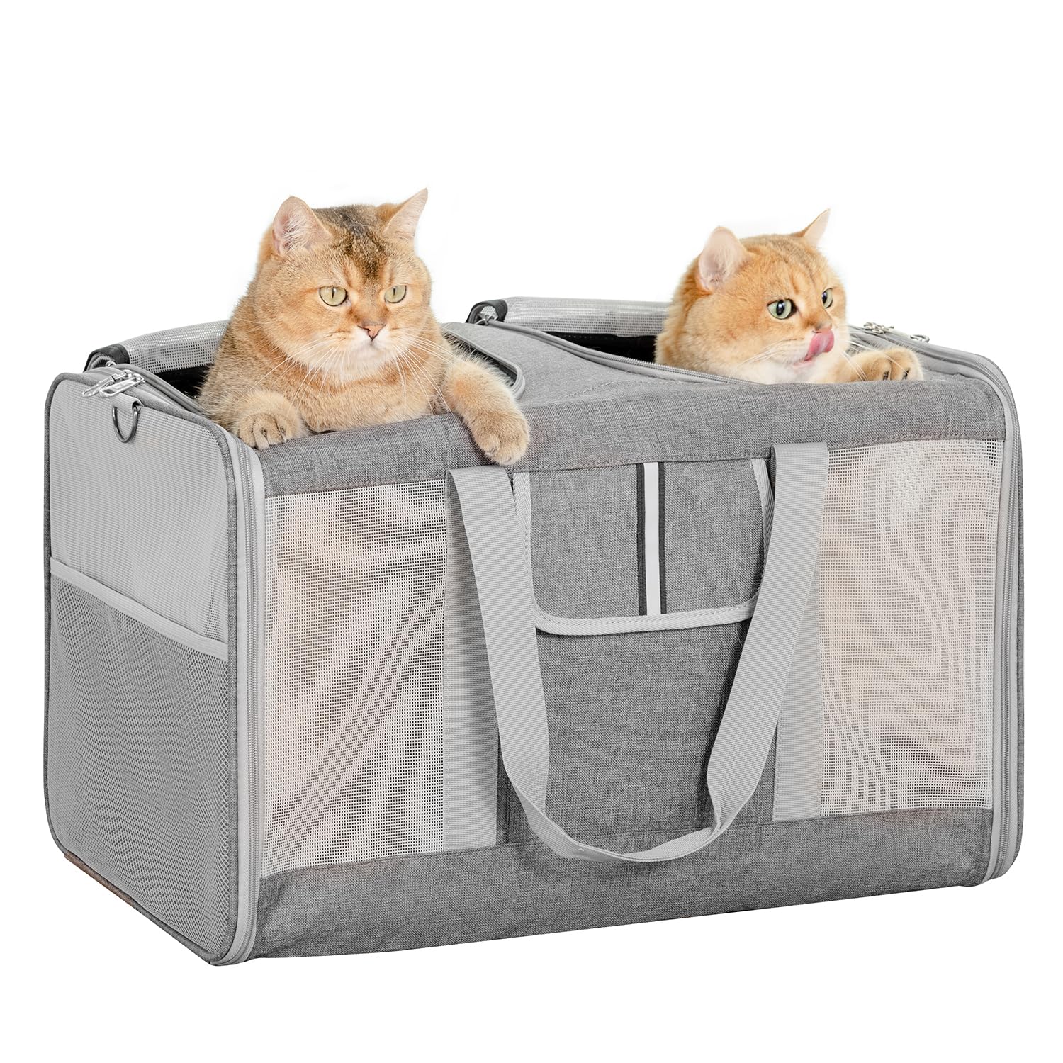 Sedioso extra large cat carrier outer view for two pets, sturdy and spacious