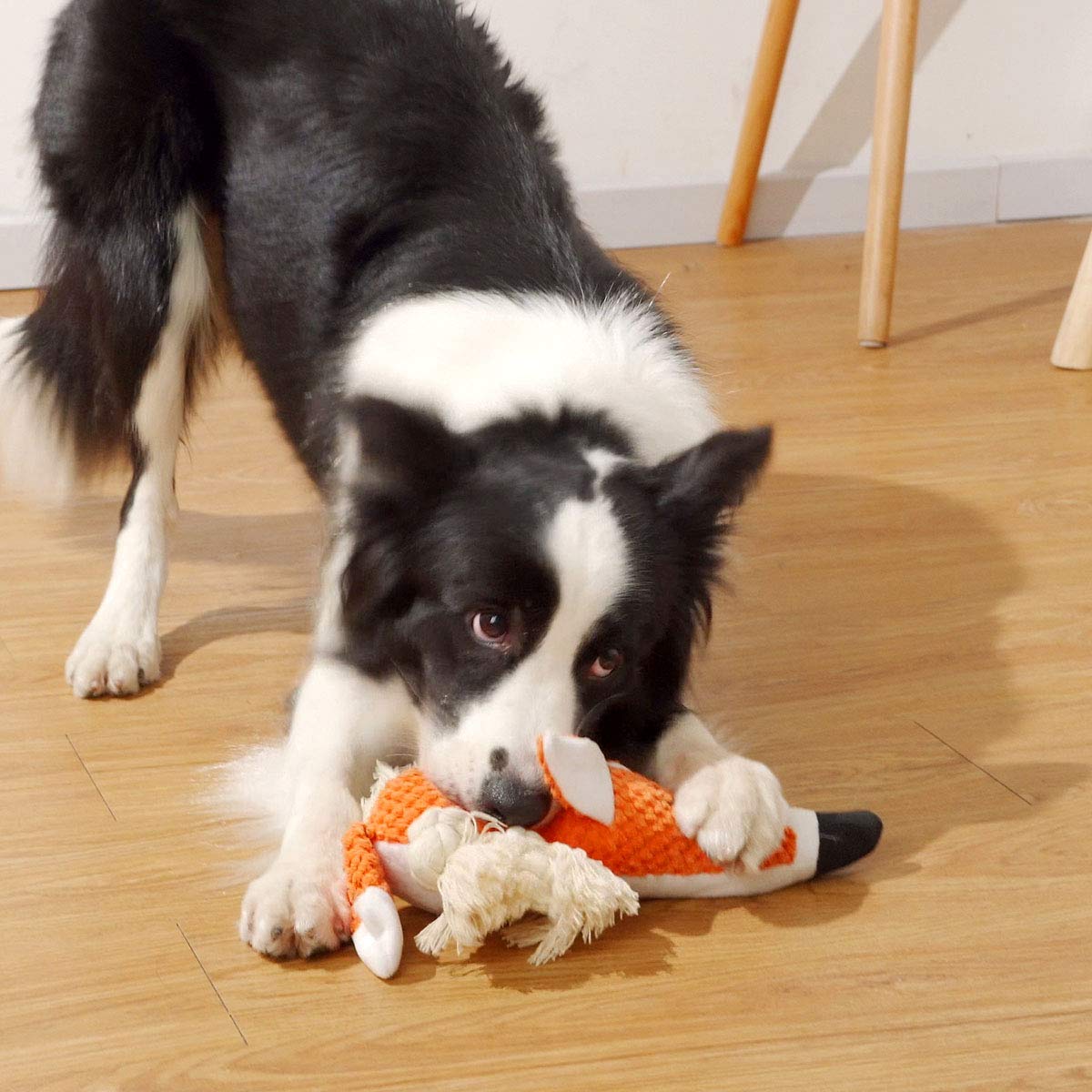 Sedioso puppy play toy soft yet durable for daily entertainment