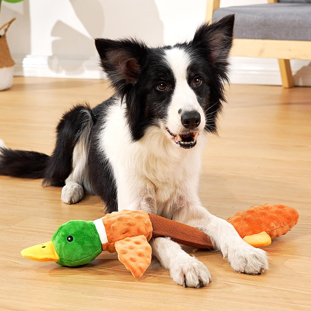 Sedioso plush toy is machine washable for quick freshness after playtime