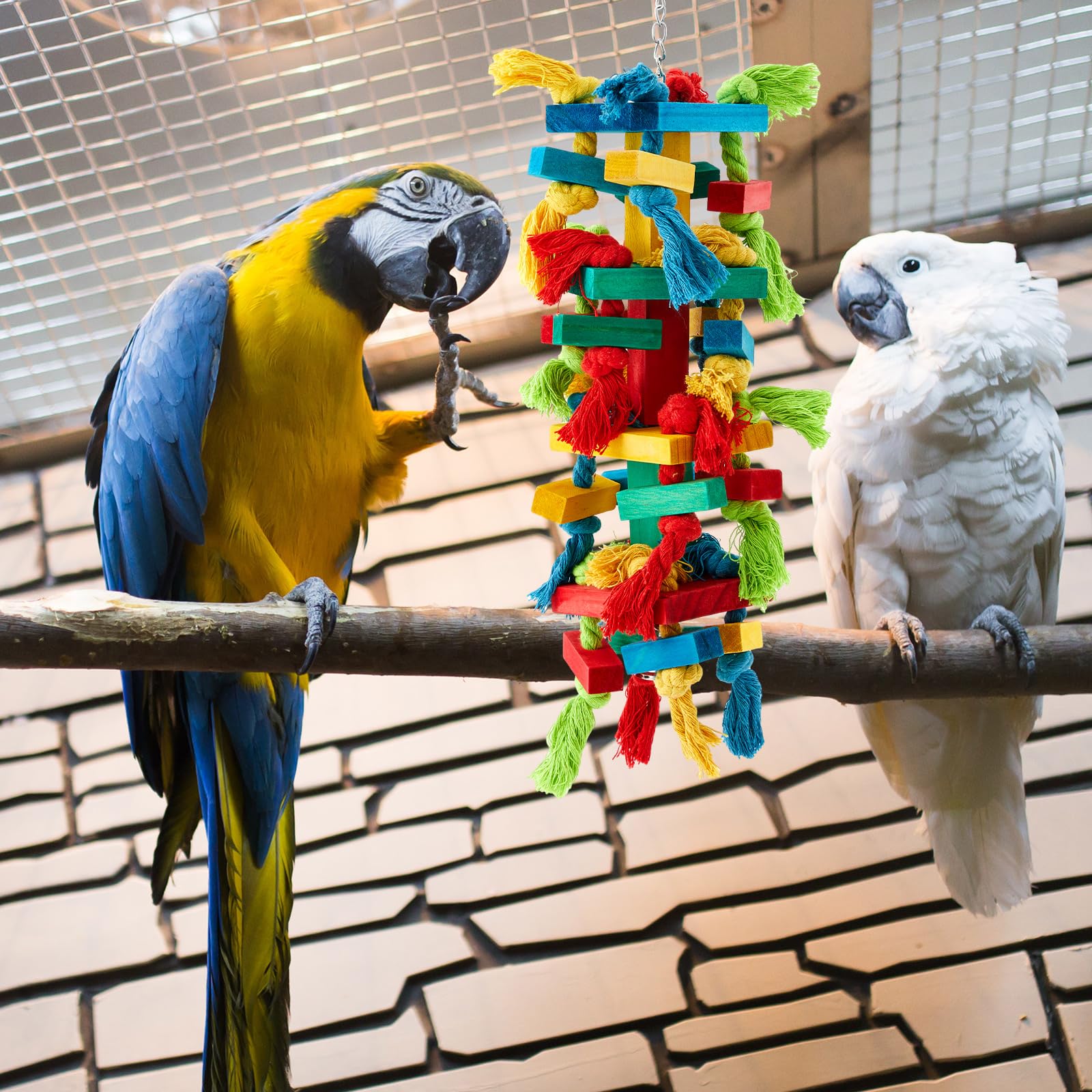 Seenelling block ball wood toy for macaws encouraging investigation
