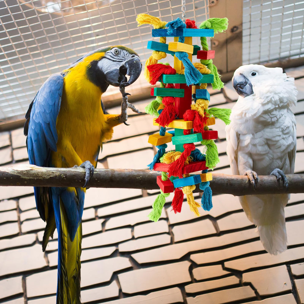 Seenelling block ball wood toy for macaws encouraging investigation