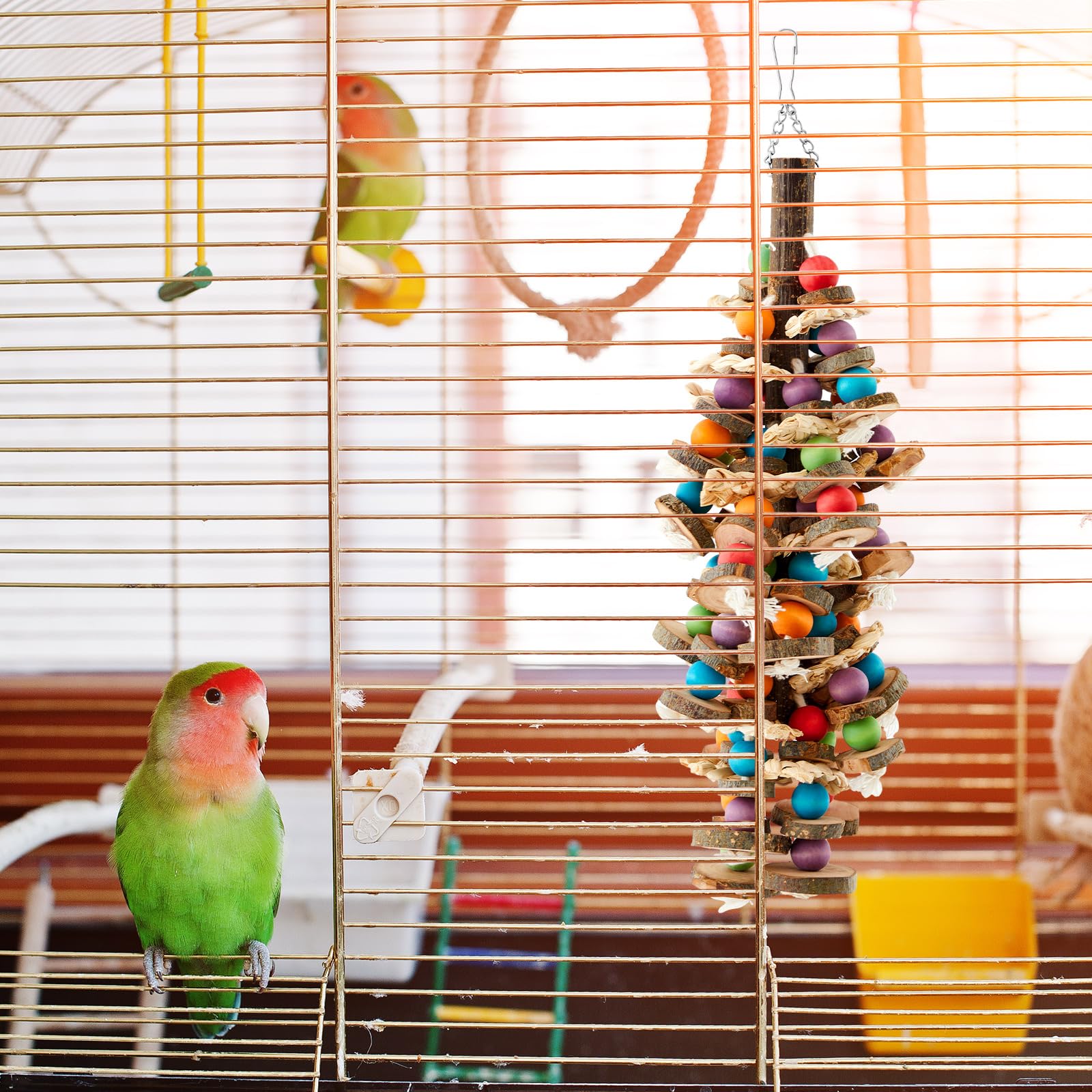 Seenelling multicolor bird toy bells and wood for daily enrichment