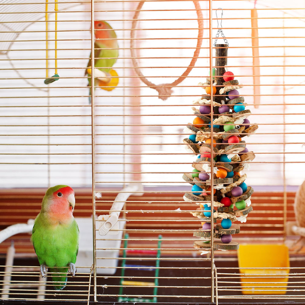 Seenelling multicolor bird toy bells and wood for daily enrichment