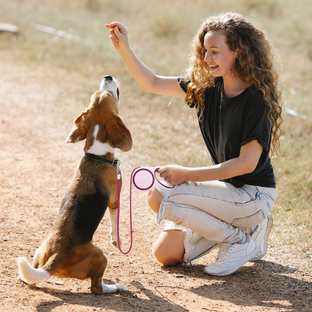Segarty lightweight leash ideal for urban outings with dogs