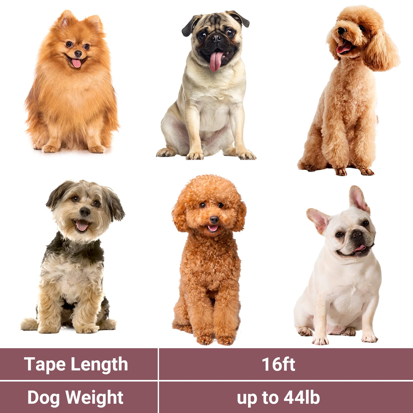 Segarty durable nylon tape built for daily outdoor use