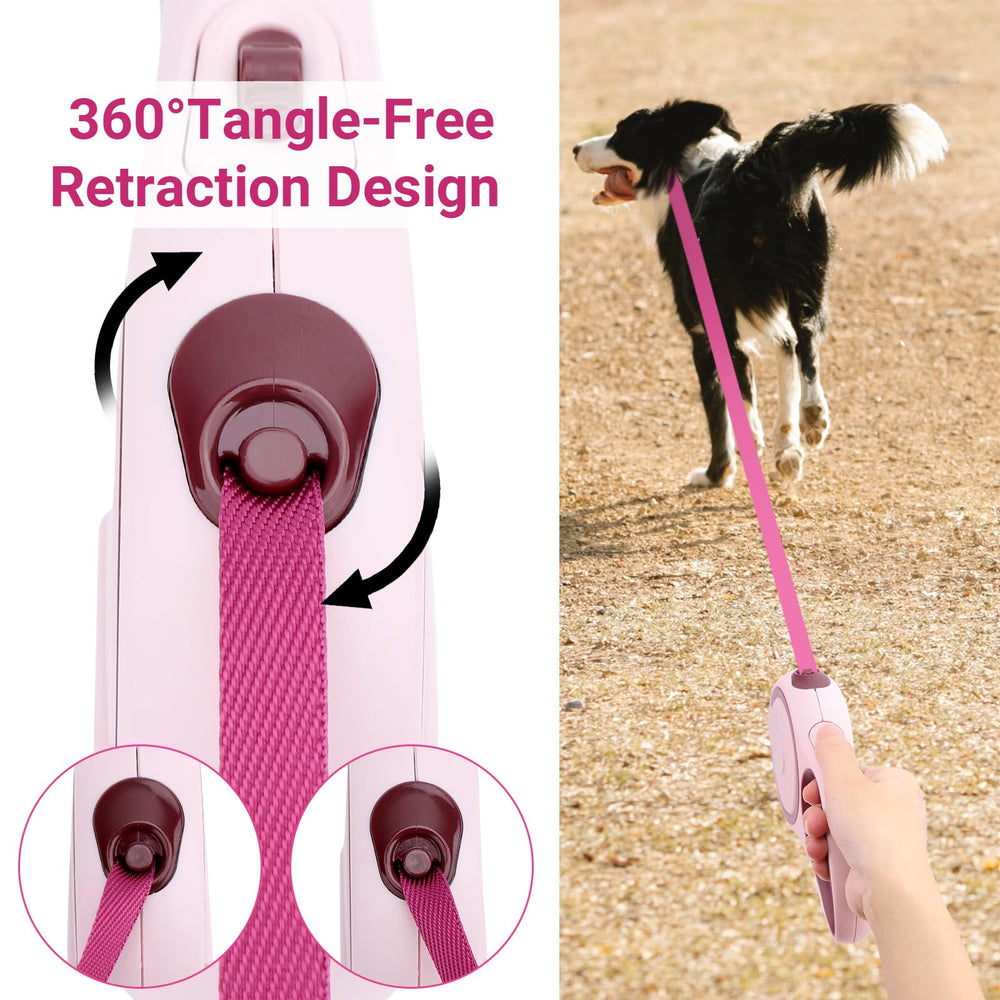 Segarty leash supports small and medium dogs up to 44 lbs