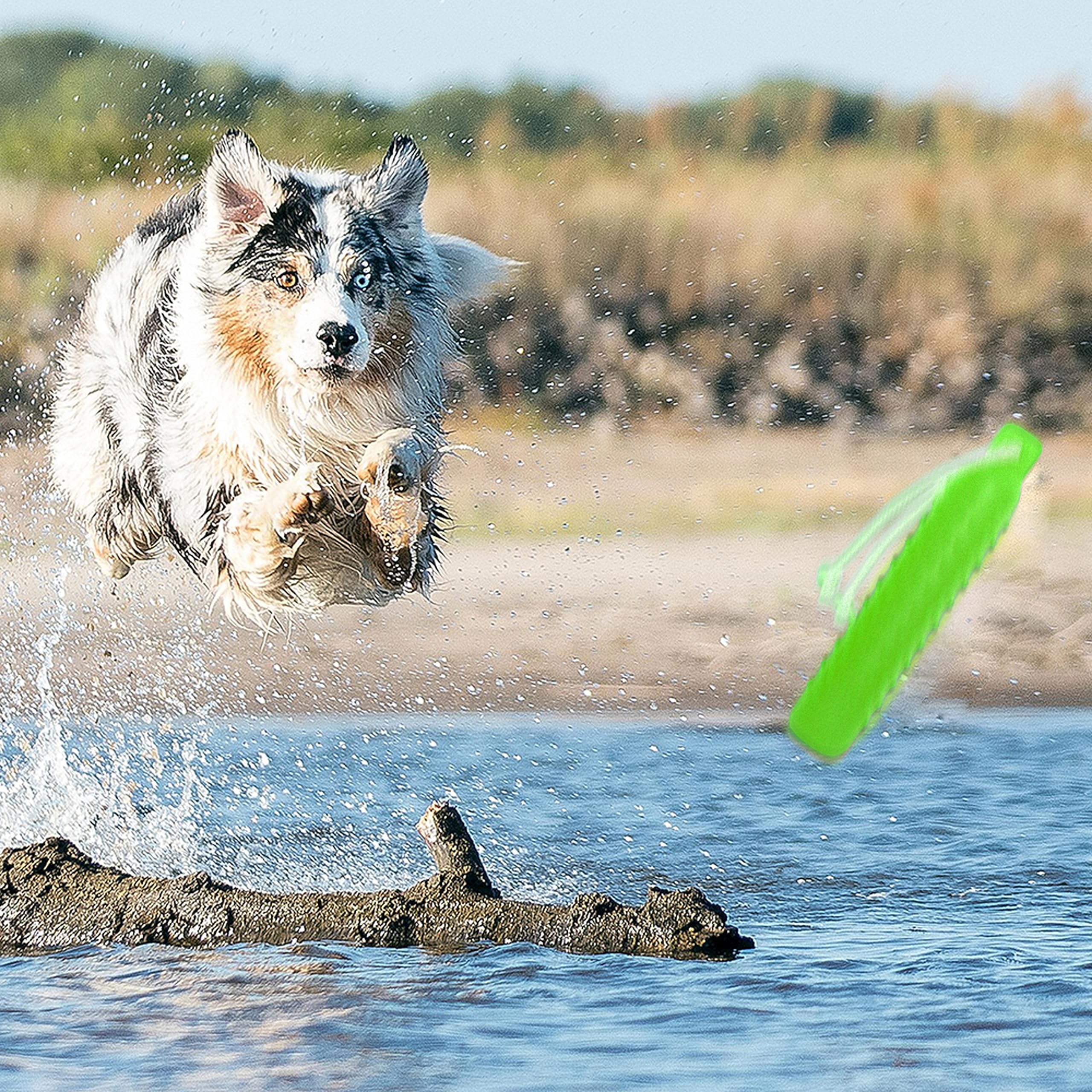 Segzwlor dog float toy promotes bonding and shared playtime.
