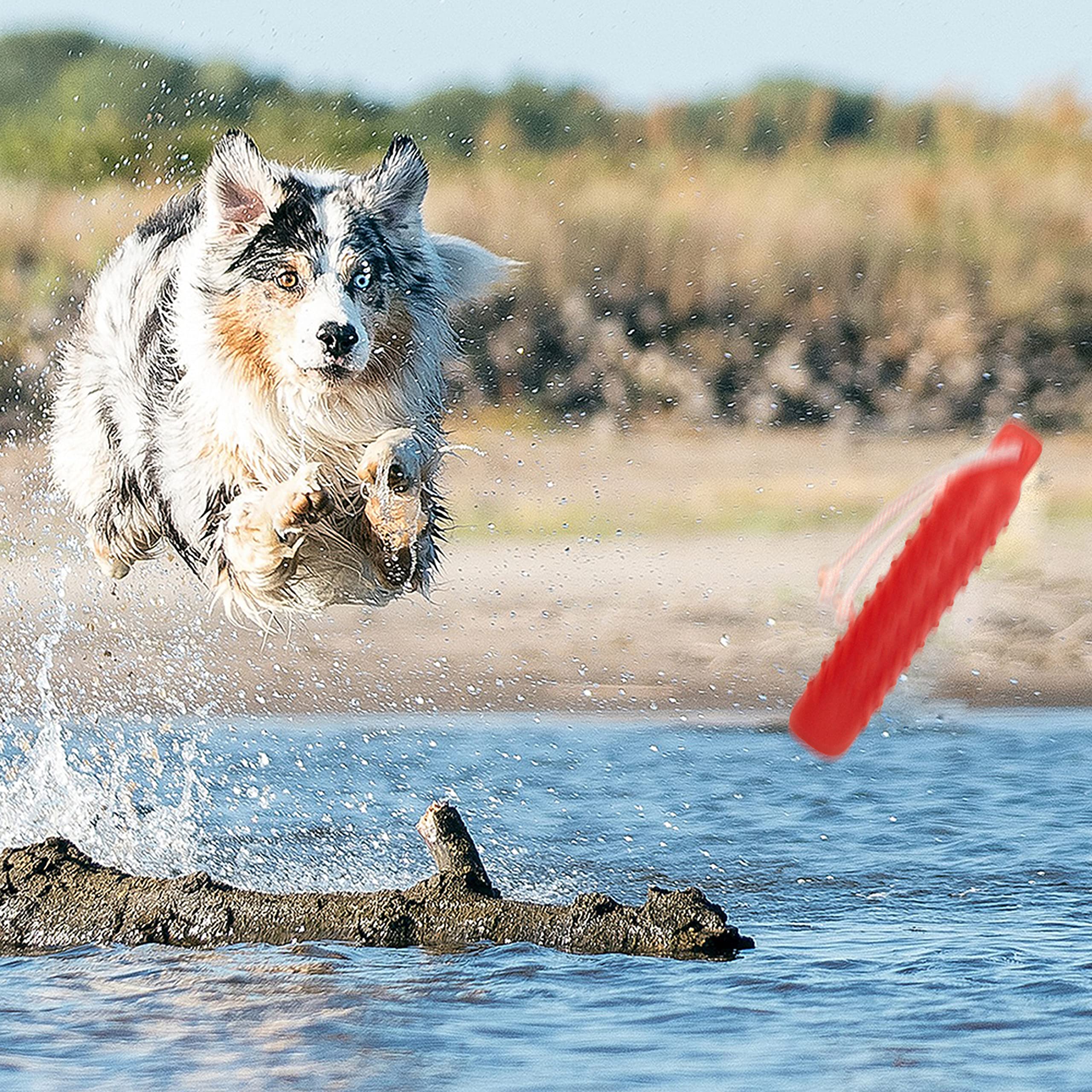 Segzwlor dog float toy-for-all-dog-sizes works well for small, medium, and large dogs.