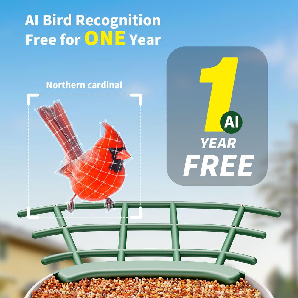 SEHMUA solar panel bird feeder powers outdoor viewing with minimal maintenance.