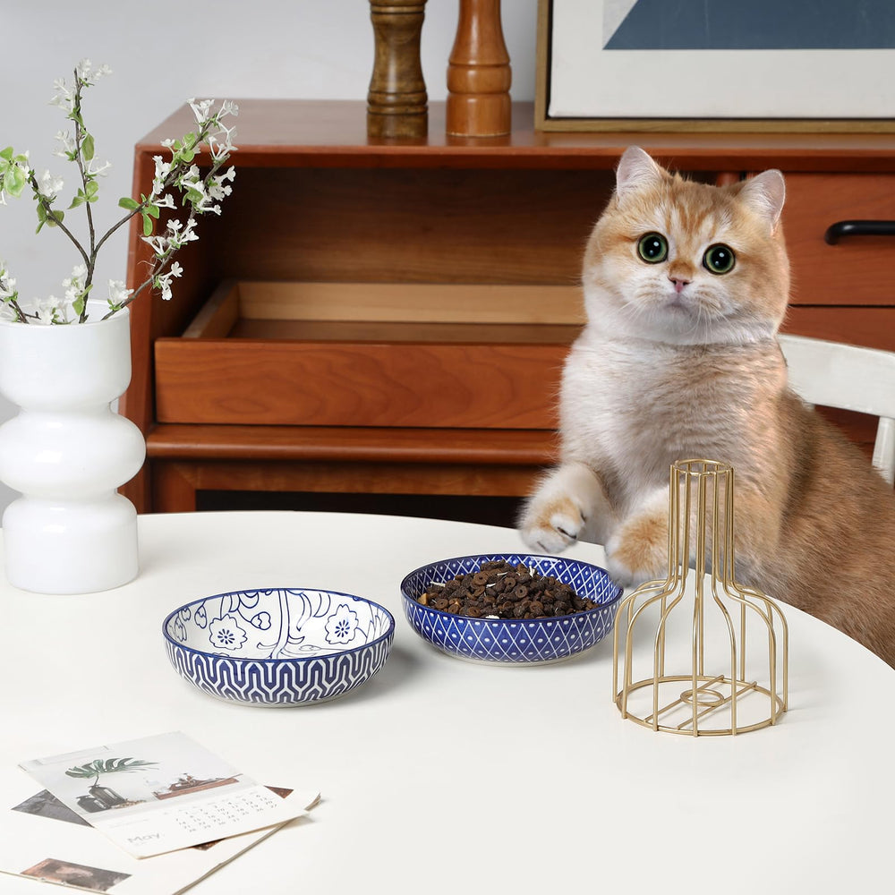 Selamica porcelain non-toxic bowls for safe daily dining.
