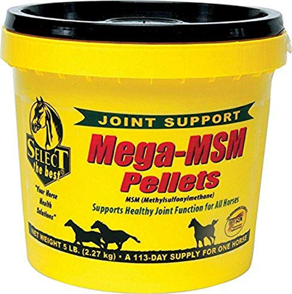 RICHDEL MegaMSM pellets for horses in a bag, convenient feeding on demand