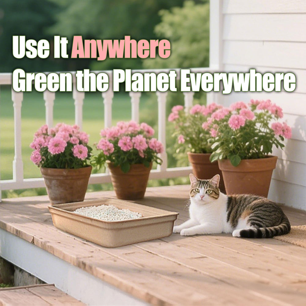 SEMEDOYO liner inside a standard tray demonstrates mess-free cleanup.