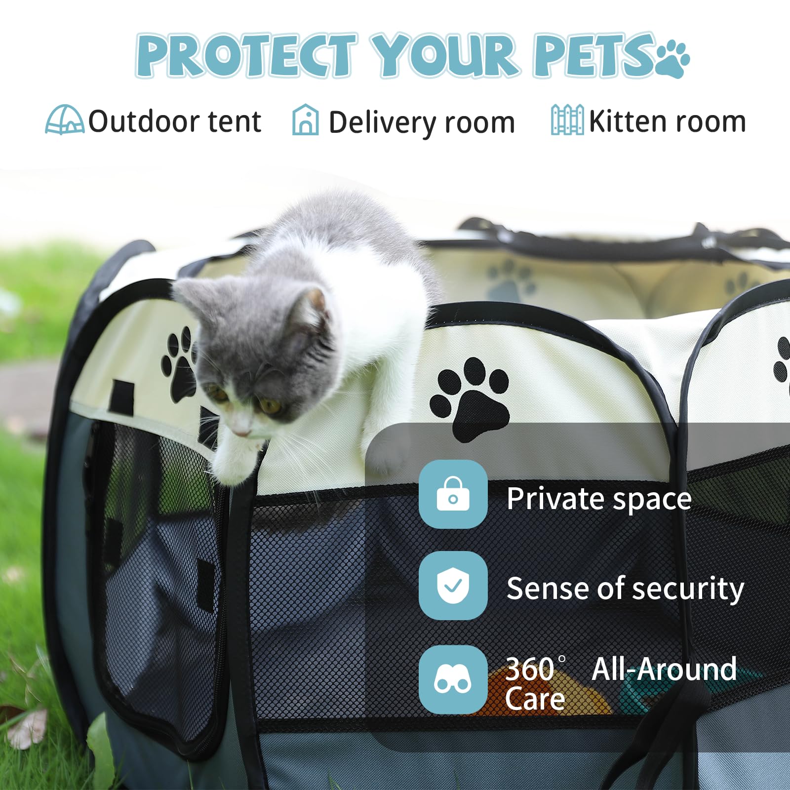 SENCONE breathable mesh panels enable visibility and airflow for pet comfort.