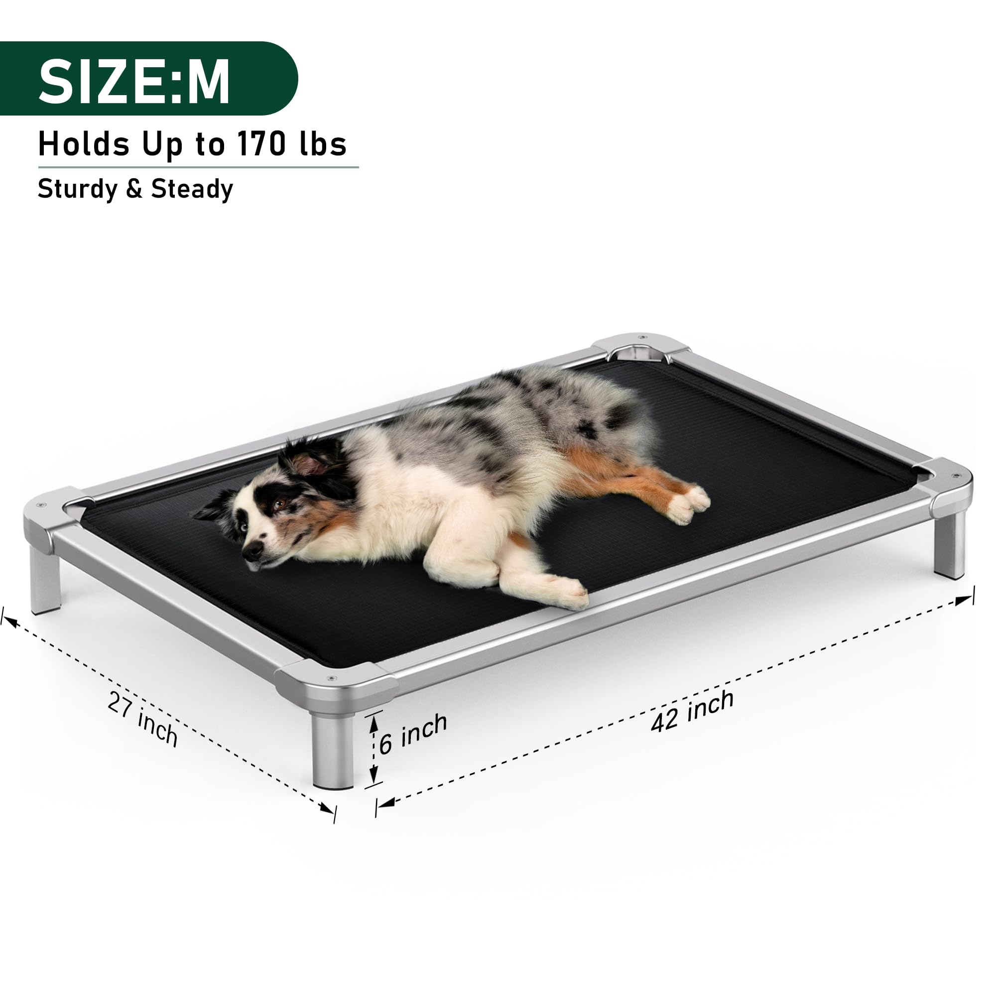 Sennenny chew-proof elevated dog bed size M ready for medium dogs.