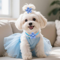Senniea adjustable collar range demonstrates versatile sizing for various pets