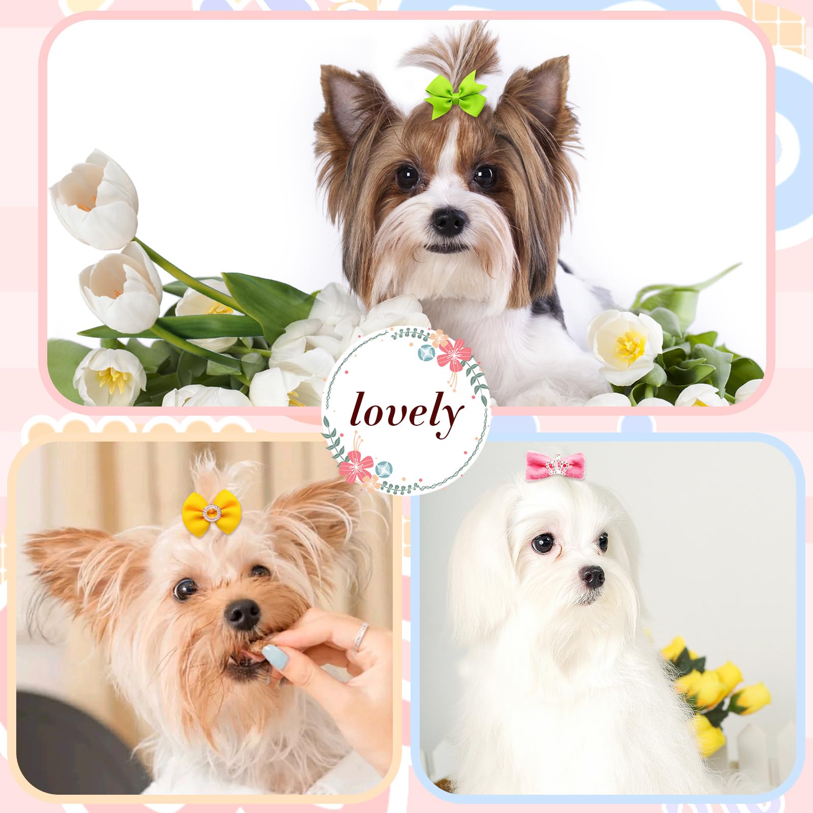 Senniea 100-piece pack offers diverse looks for small breeds.