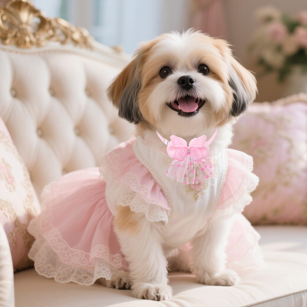 Senniea adjustable fit helps accommodate many small and medium pets