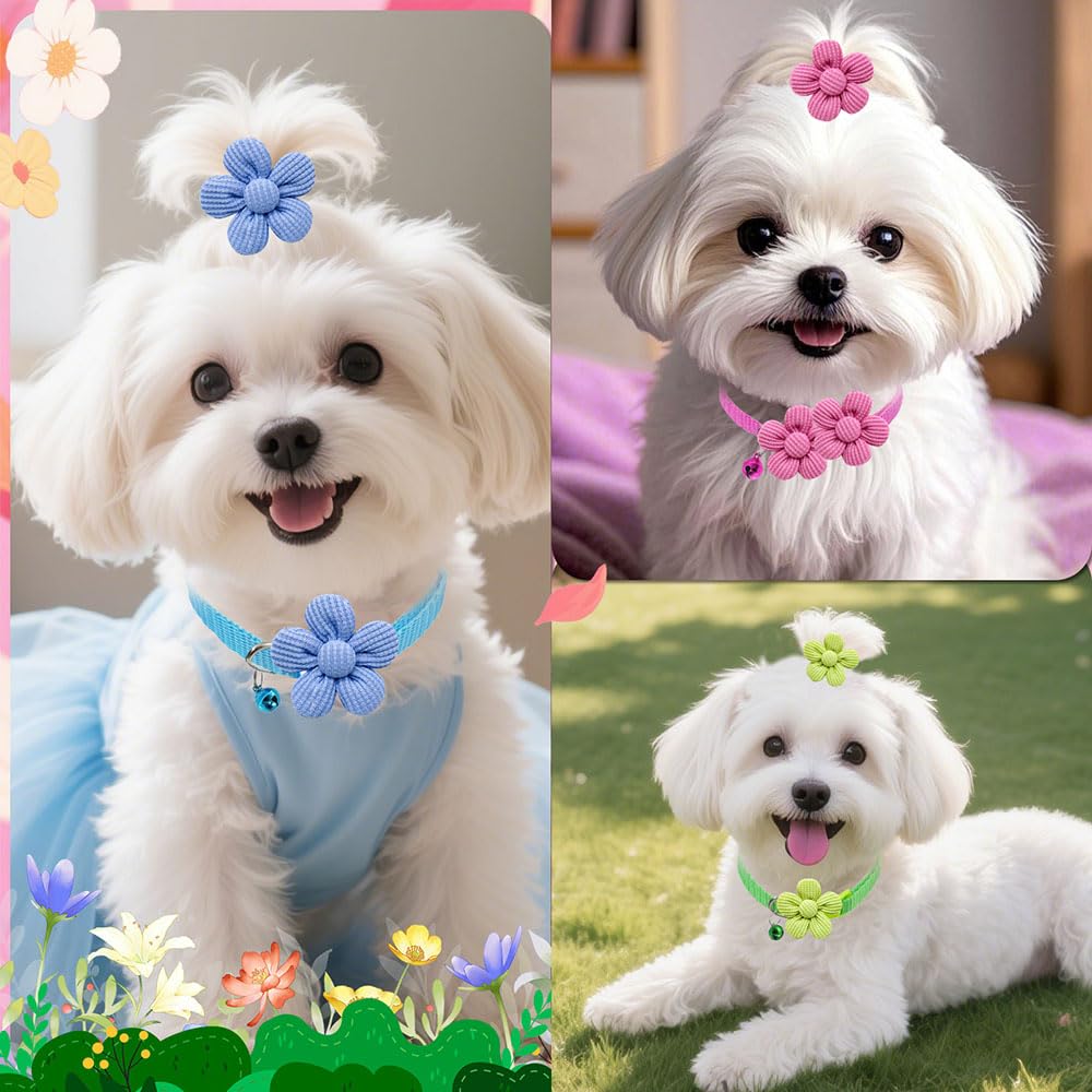 Senniea gift-ready dog bows suitable for friends and celebrations