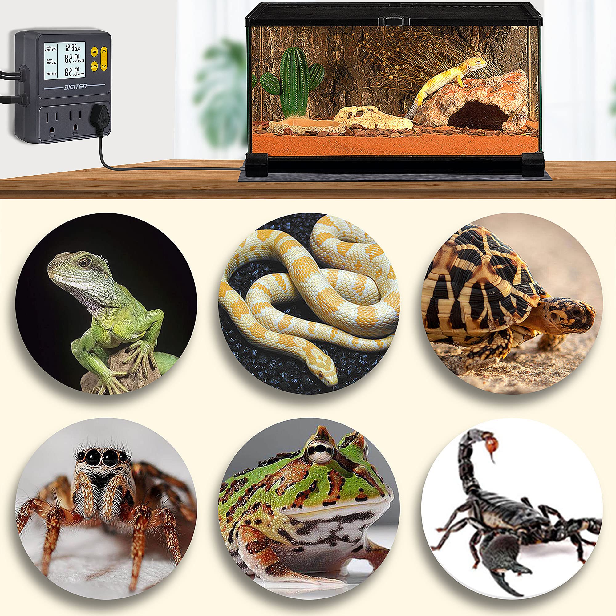 Compatible with incubators, UV lights, and fans for setups