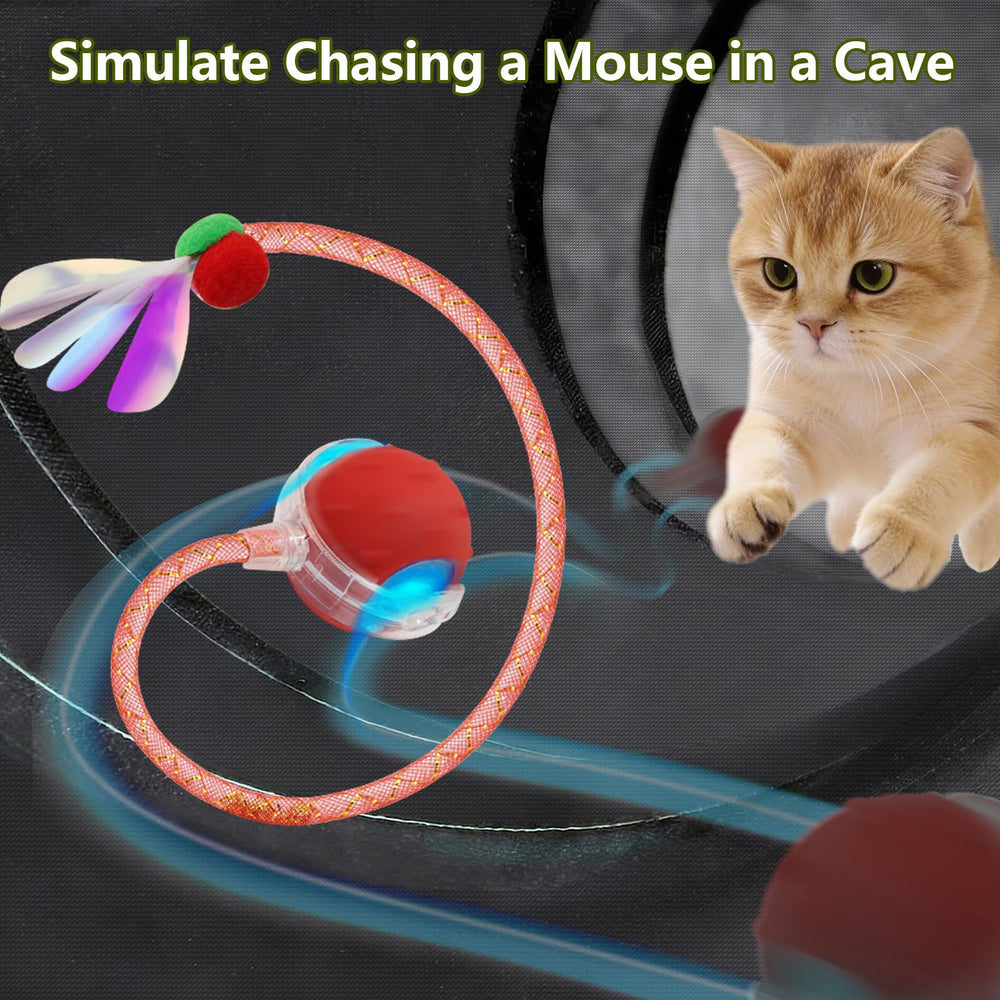 Sentoo three-speed settings for fast, slow, or interactive play.