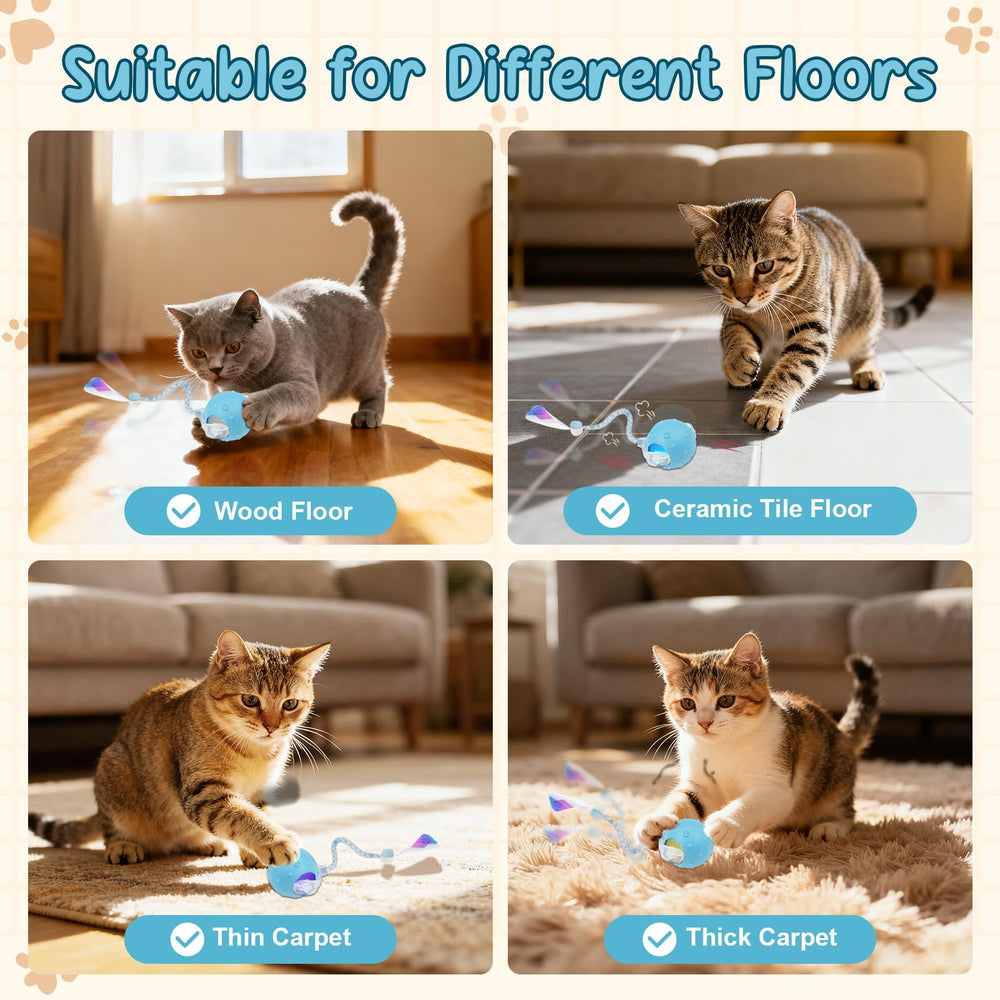 Sentoo cat ball automatically enters standby to conserve power between sessions