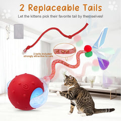 Sentoo red string tail in action simulating insect movement for hunting