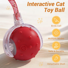 Sentoo interactive cat ball toy with two replaceable tails for active play