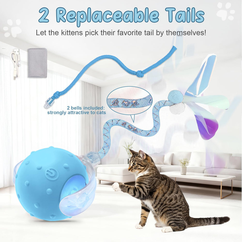 Sentoo ball offers two speeds for gentle or energetic play sessions