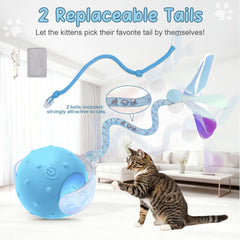 Sentoo ball offers two speeds for gentle or energetic play sessions