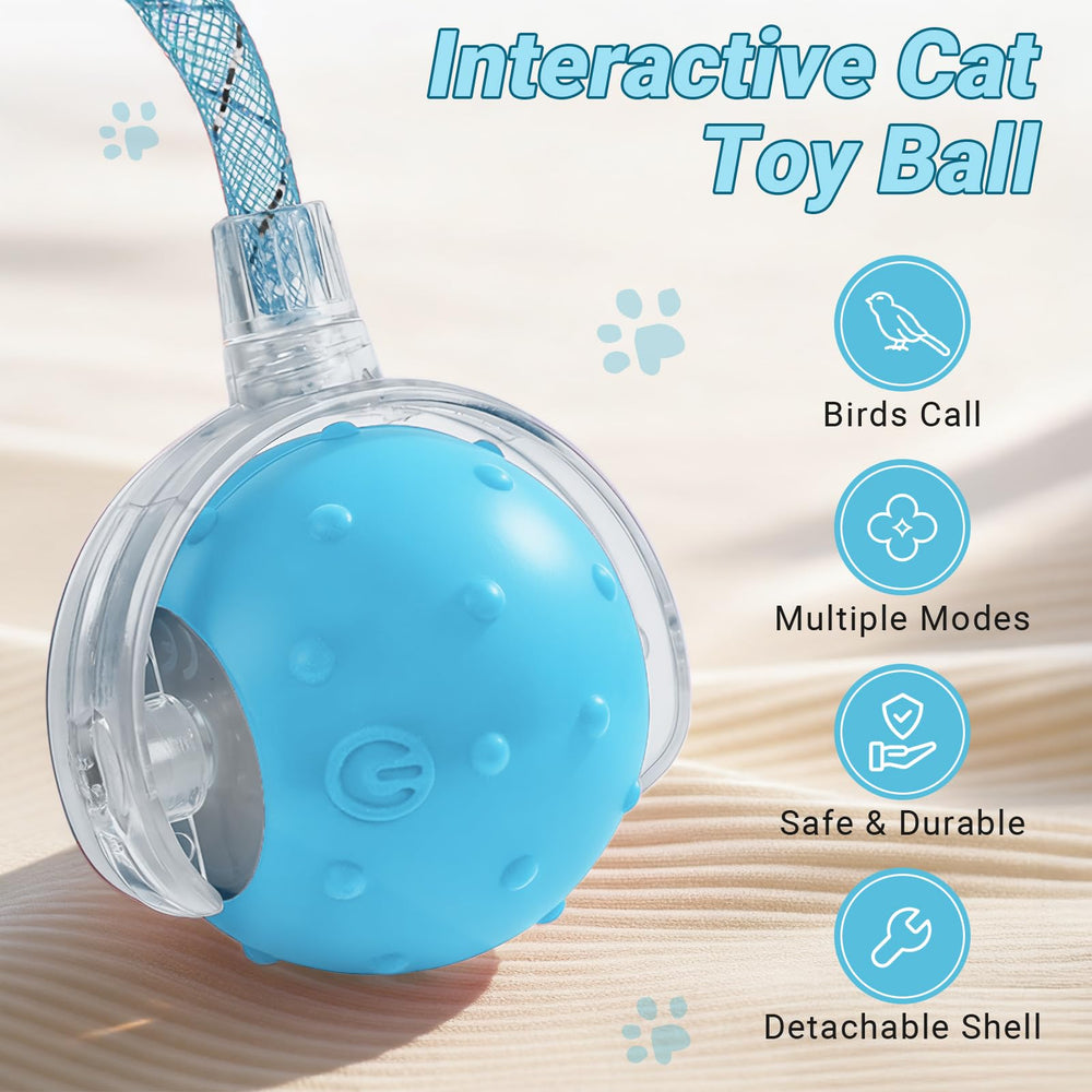 Sentoo cat ball shows two tails for varied chase dynamics indoors